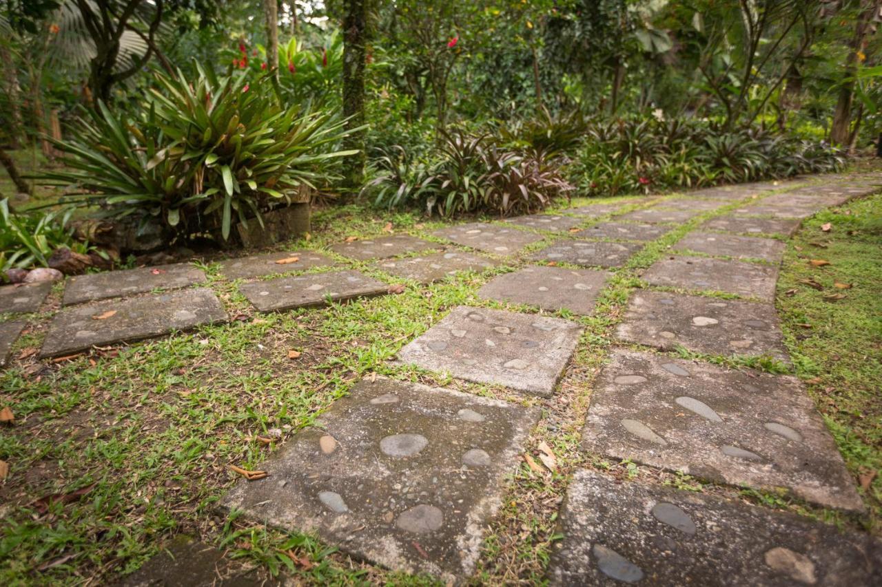 El Nido Jungle Lodge Puerto Viejo de Talamanca Εξωτερικό φωτογραφία
